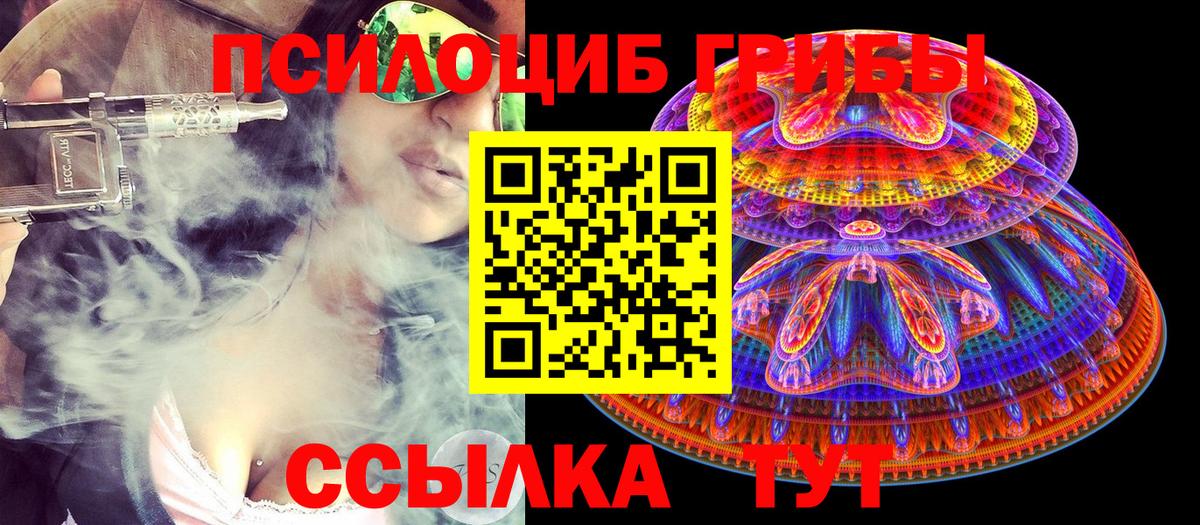 Киселёвск  где продают наркотики  Псилоцибиновые грибы GOLDEN TEACHER  Вход с VPN  Псилоцибиновые грибы MAGIC MUSHROOMS 