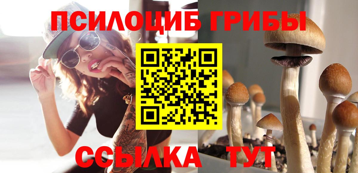 Галлюциногенные грибы MAGIC MUSHROOMS Киселёвск